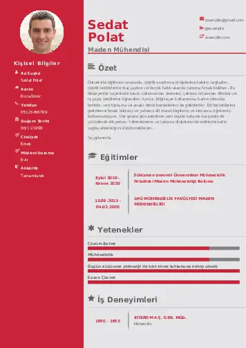 Maden Mühendisi Cv Örnekleri cv indir